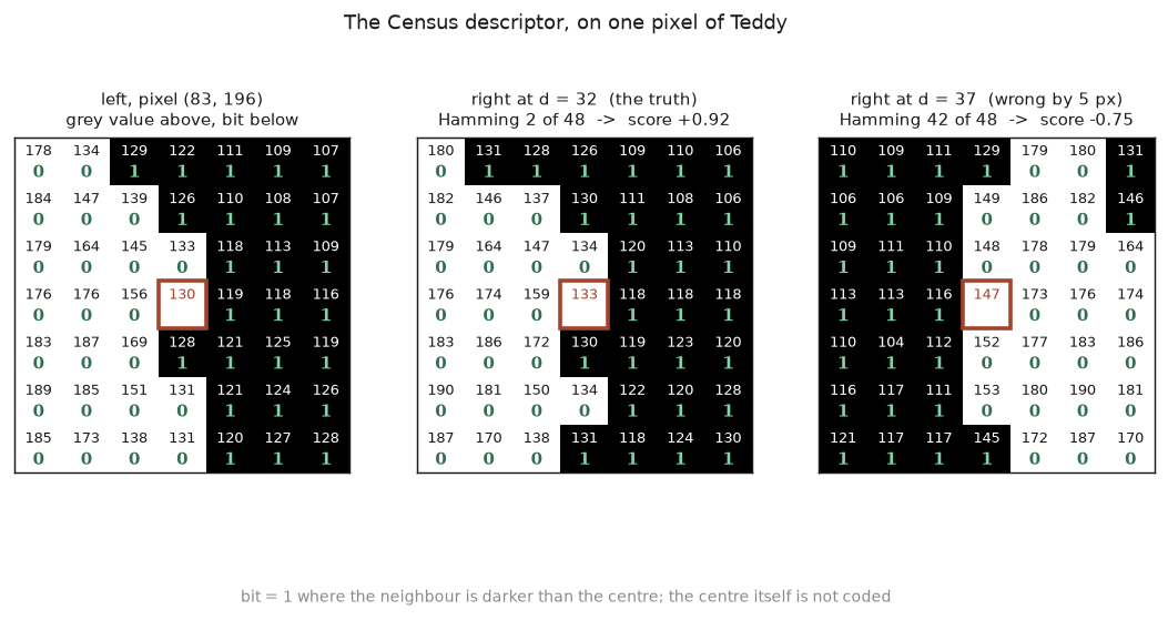 census
